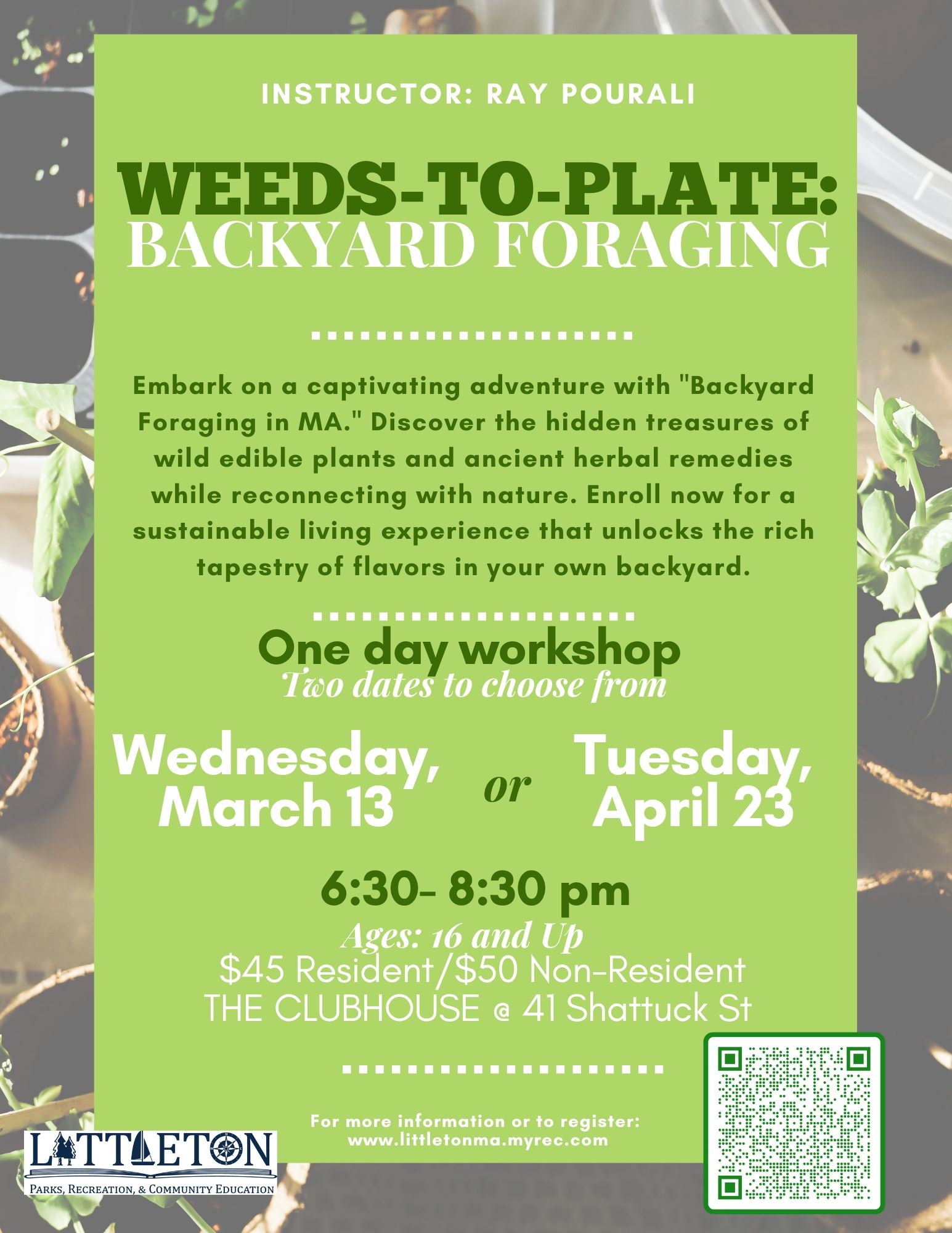 Weeds-to-Plate Backyard Foraging SP2024